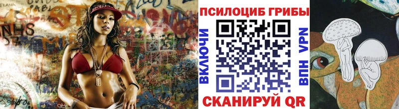 Псилоцибиновые грибы Psilocybine cubensis  сколько стоит  Тула 